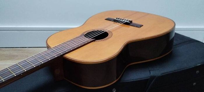 Giannini AWN-31 Bossa Nova guitar