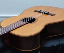 Giannini AWN-31 Bossa Nova guitar