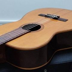 Giannini AWN-31 Bossa Nova guitar