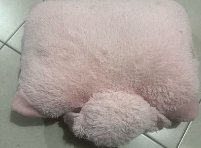 pillow kids