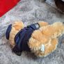 airline bears eur 10 each Image 10