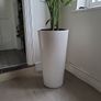 kentia planter Image 2