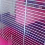 Hamster cage Image 5