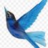 happynightingale
