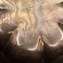 sterling silver dish Image 3