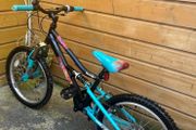 turquoise bike