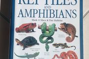 Reptiles &amp; Amphibians REDUCED