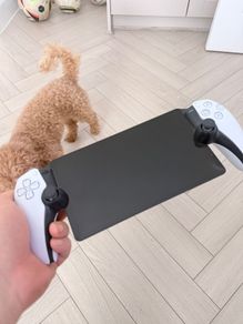PS Portable