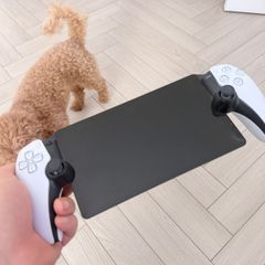 PS Portable