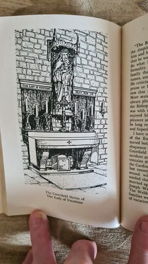With The Help Of Our Lady. By F. M. Dreves. Paperback In Good Condition.