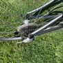 Mountain Bike For Sale Image 8