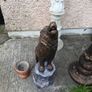 garden Image 2