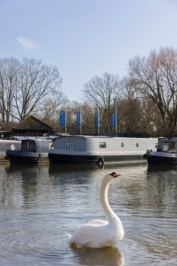 Pomeroy - Brand New 2-Bed Houseboat - 245,000 EUR - Delivered to Ireland