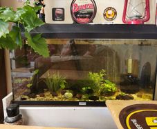 97 ltr tank