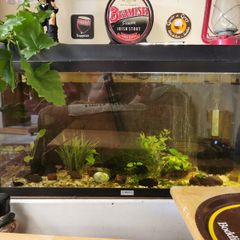 97 ltr tank