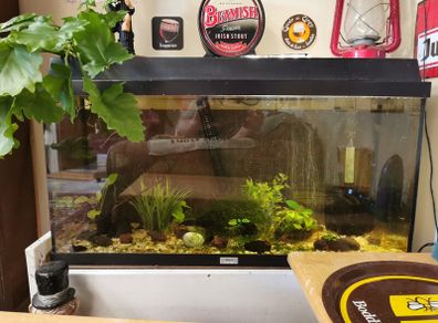 97 ltr tank