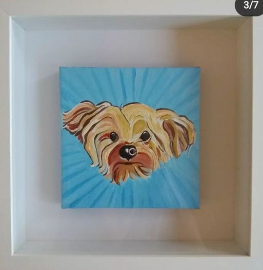 Pet Portraits