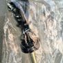 ROCKSHOX Lyrik / Yari 160mm air spring Image 2