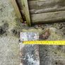 Rsj Image 3