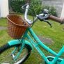 Girls Bicycle 20 inch Image 3
