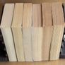 Terry Brooks fantasy novels (A-format paperbacks) Image 2