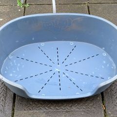 Dog Bed (free)