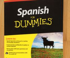 Spanish for Dummies and Spanish Dictionary