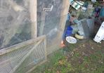 thick large piece of glass 2.40m x 0.86m 1.2cm thick