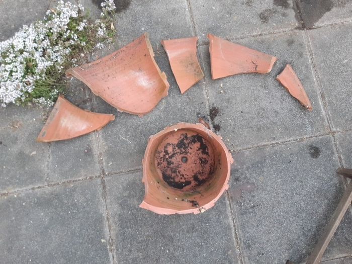 terracotta pot (broken)
