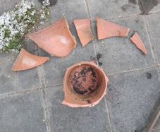 terracotta pot (broken)