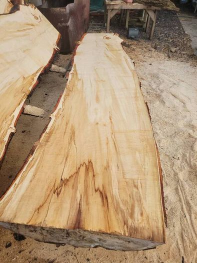 Hardwood timber