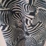 Girls Zebra leggings Image 2