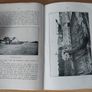 The Shannon Hydro-electric Scheme (Ardnacrusha) by TC Carroll & Sons 1920s Booklet Rare FREEPOST Image 8