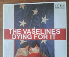 The Vaselines / The Pooh Sticks . Dying for it Colored Vinyl on Sub Pop
