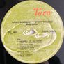 Andy Irvine "Rainy Sundays, Windy Dream" Image 4