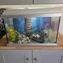 fish tank Image 3