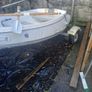 Boat 600 Mercury 2.5 outboard  ,40000 electri Image 2