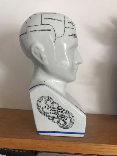 Phrenology Head  Bust