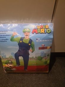 Luigi costume