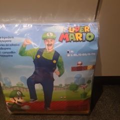 Luigi costume