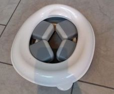 Travel Potty