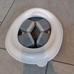 Travel Potty
