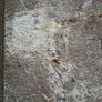 2 New long identical marble Rugs Image 3