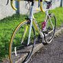 Boardman Road Sport Limited Edition - Carbon Forks - Great Condition Image 2