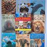 8 New Wild Animals Books Image 2