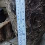 Vintage Yard Stick Image 2