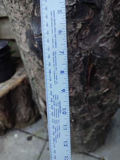 Vintage Yard Stick