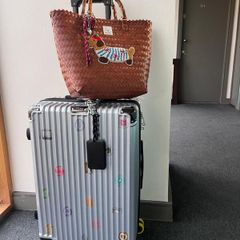 summer bag