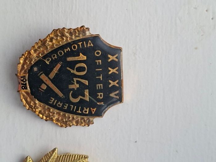 Collection of Military Badges