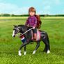 Lori Black Irish Draught Horse Image 3